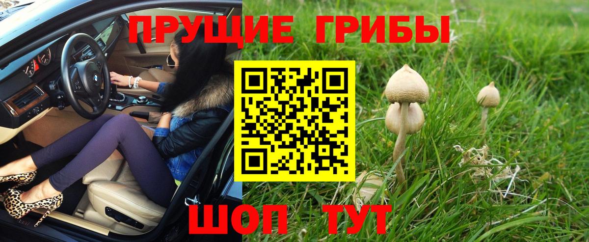 Галлюциногенные грибы GOLDEN TEACHER  Вход с VPN  цены наркотик  Славянск-на-Кубани 