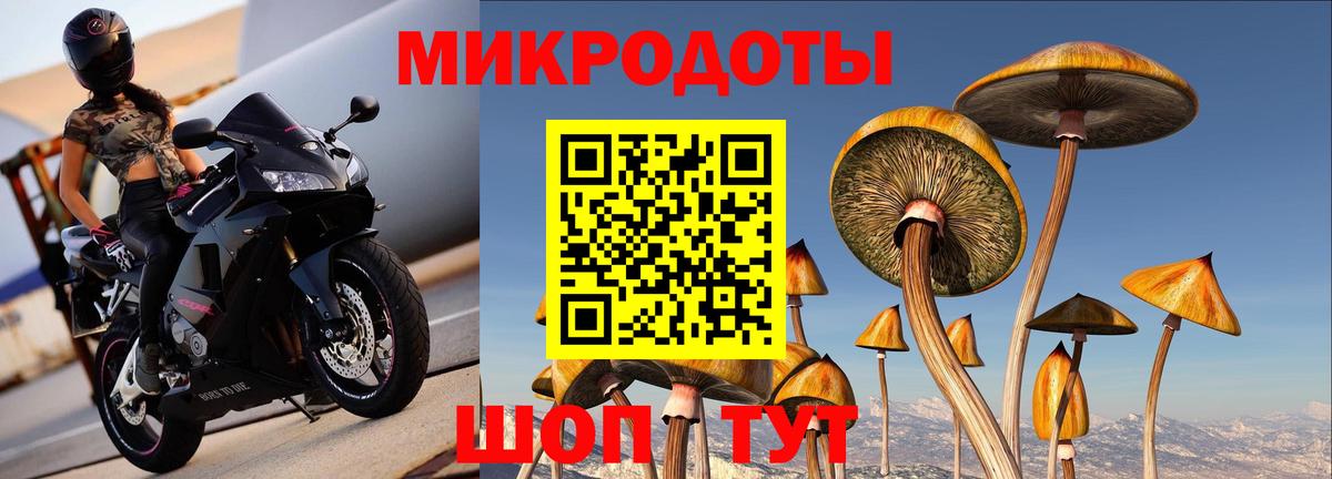 Псилоцибиновые грибы Magic Shrooms Славянск-на-Кубани